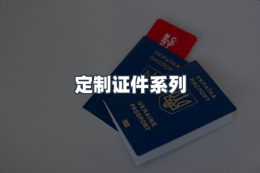 定制证件系列